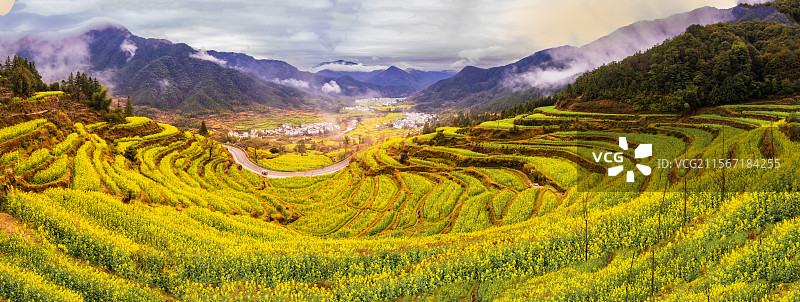 婺源油菜花二图片素材
