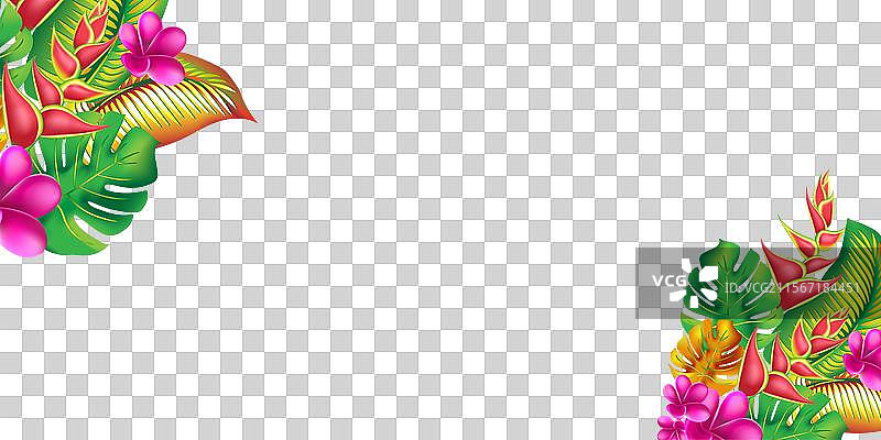 热带丛林花叶横幅设计与棕榈树图片素材