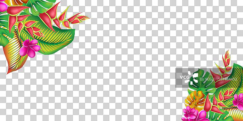 热带丛林花叶横幅设计与棕榈树图片素材