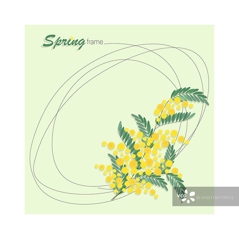 含羞草春季框架春季花卉背景图片素材