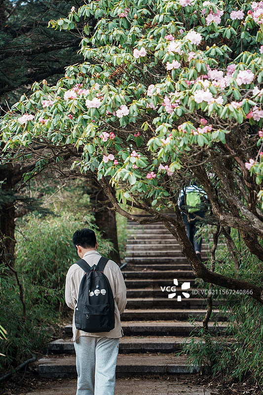 峨眉山徒步图片素材