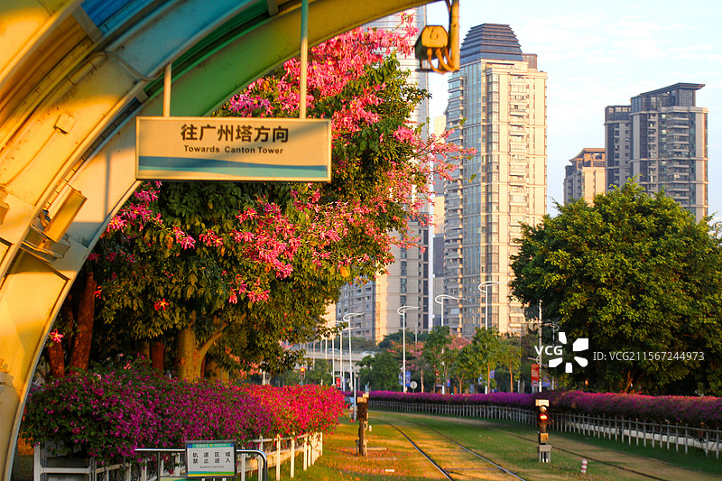 广州有轨电车车站日落图片素材