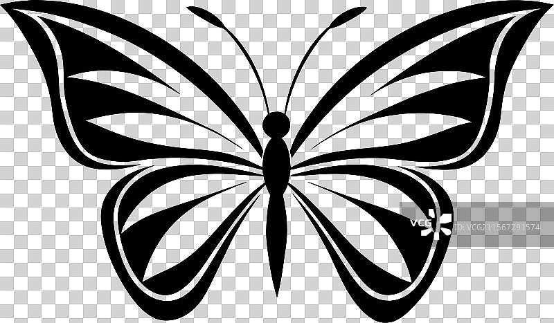 抽象蝴蝶图标设计模板图片素材