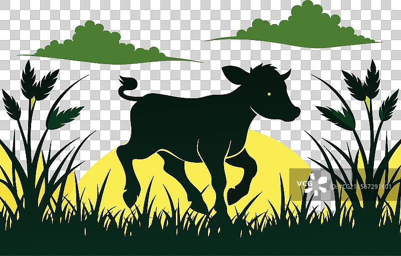 顽皮的小牛欢快地奔跑嬉戏图片素材