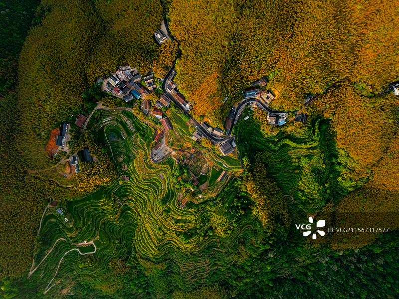 航拍浙江丽水市龙泉市千八线黄茅尖民宿炉岙村图片素材
