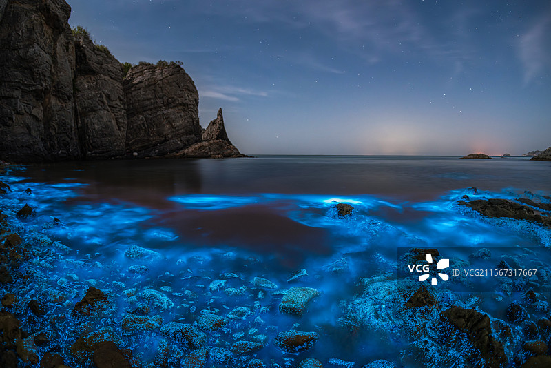 大连荧光海图片素材