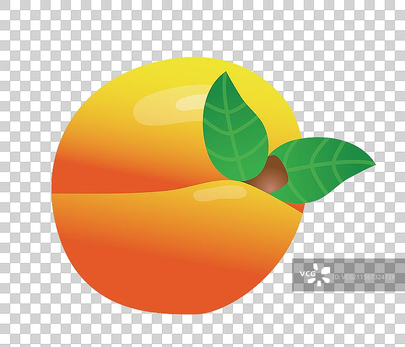 矢量水果杏子元素，手绘水果杏素材，3D水果图片素材