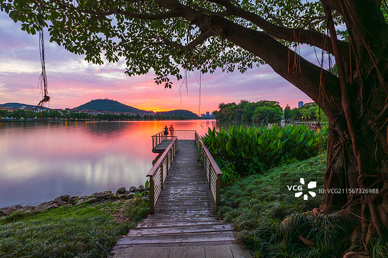 佛山市顺德区网红景点：顺峰山公园桂畔湖图片素材