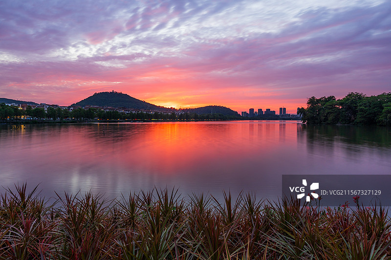 佛山市顺德区网红景点：顺峰山公园桂畔湖图片素材