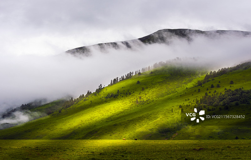 川西风光（龙灯草原）图片素材