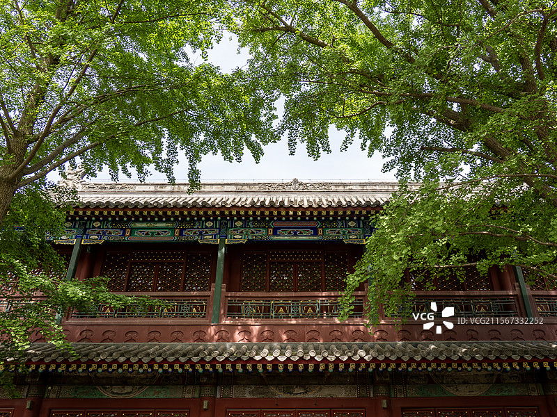 宣武艺园绿树掩映下的古典红楼图片素材