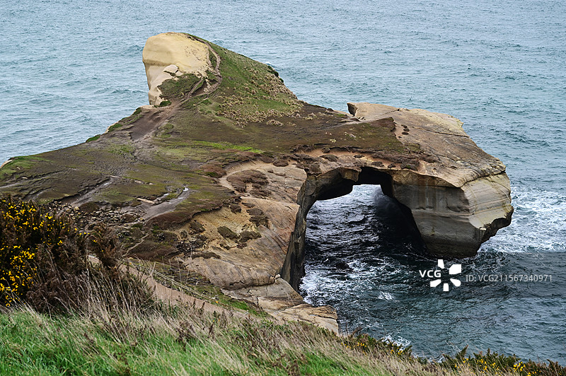 新西兰但尼丁隧道海滩深入大海的海蚀拱桥图片素材