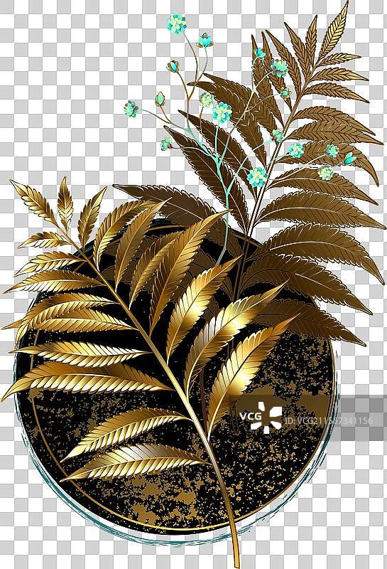 金色蕨类植物的圆形图案图片素材