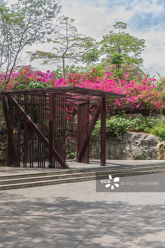 柳州蟠龙山公园自然风景图片素材