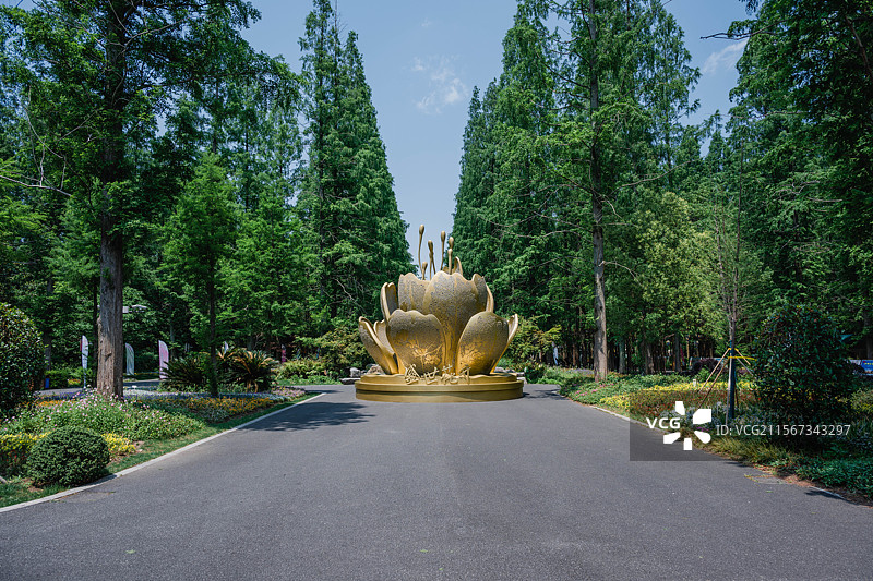 上海崇明东平森林公园图片素材