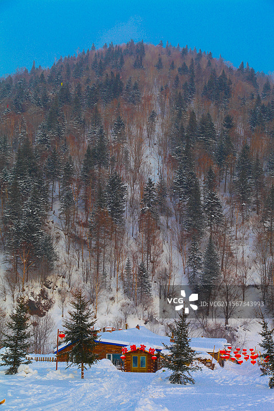 黑龙江省 双峰林场 雪乡图片素材