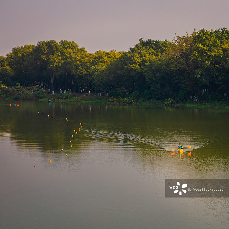 冬天，在广州海珠湖上划皮划艇的人们图片素材