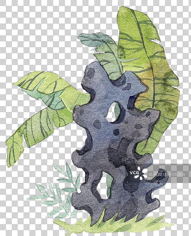 太湖石芭蕉叶插画元素图片素材