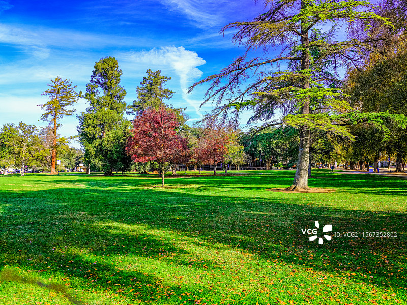 加州大学校园秋天壁纸风光图片素材