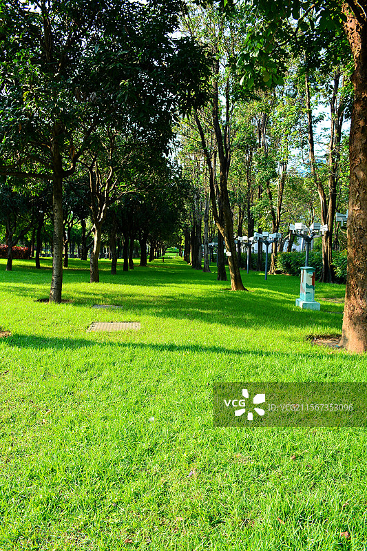 佛山亚艺公园和文华公园的绿道汽车广告图片素材