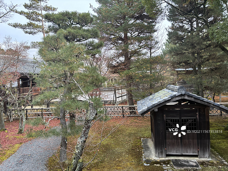 日本京都岚山清凉寺寺庙神社枫叶秋景图片素材