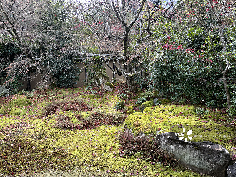 日本京都岚山清凉寺寺庙神社枫叶秋景图片素材