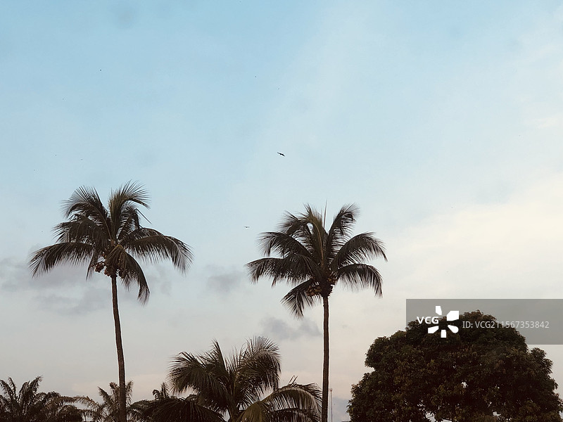 科特迪瓦-阿比让（Cote D'ivoire-Abidjan）图片素材