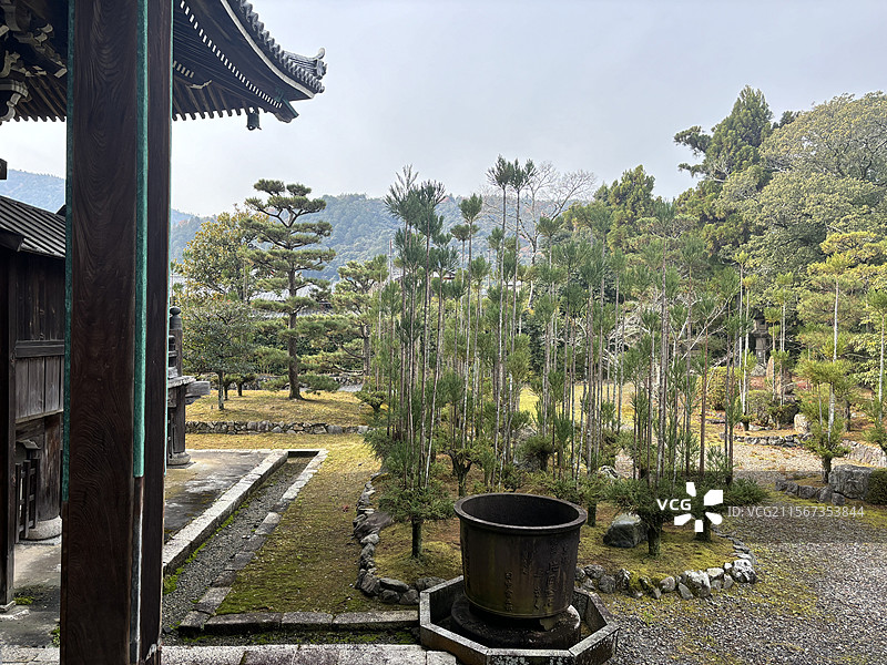 日本京都岚山清凉寺寺庙神社枫叶秋景图片素材