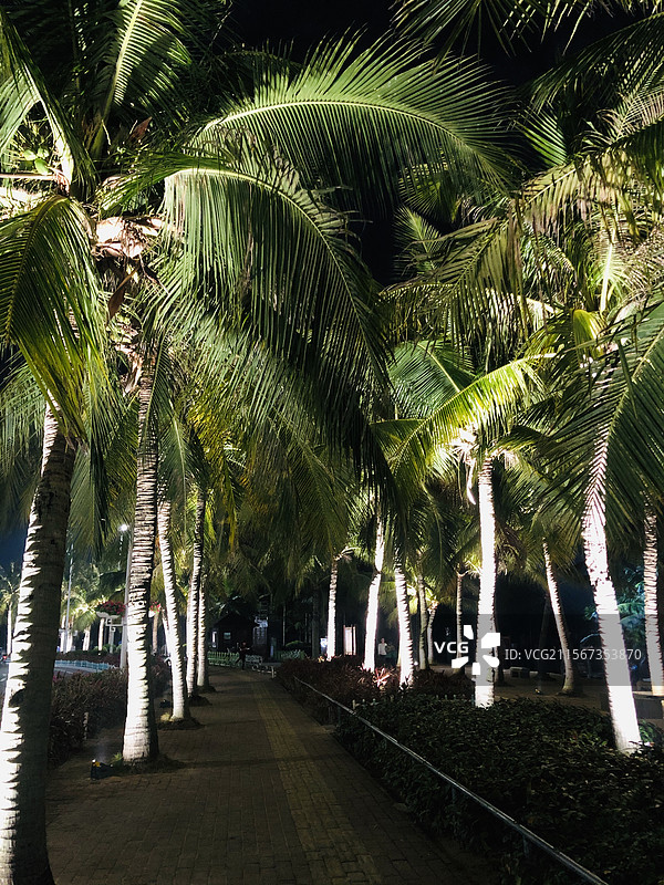 科特迪瓦-阿比让（Cote D'ivoire-Abidjan）图片素材