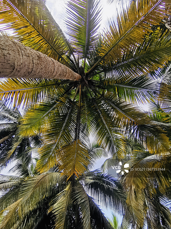 科特迪瓦-阿比让（Cote D'ivoire-Abidjan）图片素材