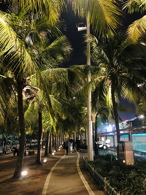 科特迪瓦-阿比让（Cote D'ivoire-Abidjan）图片素材