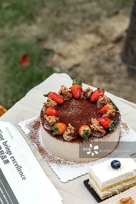 提拉米苏生日蛋糕草莓蛋糕奶油蛋糕裱花甜品甜食下午茶生日蛋糕可可粉图片素材