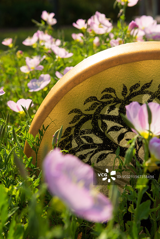 户外树形图案的金色萨满鼓面图片素材