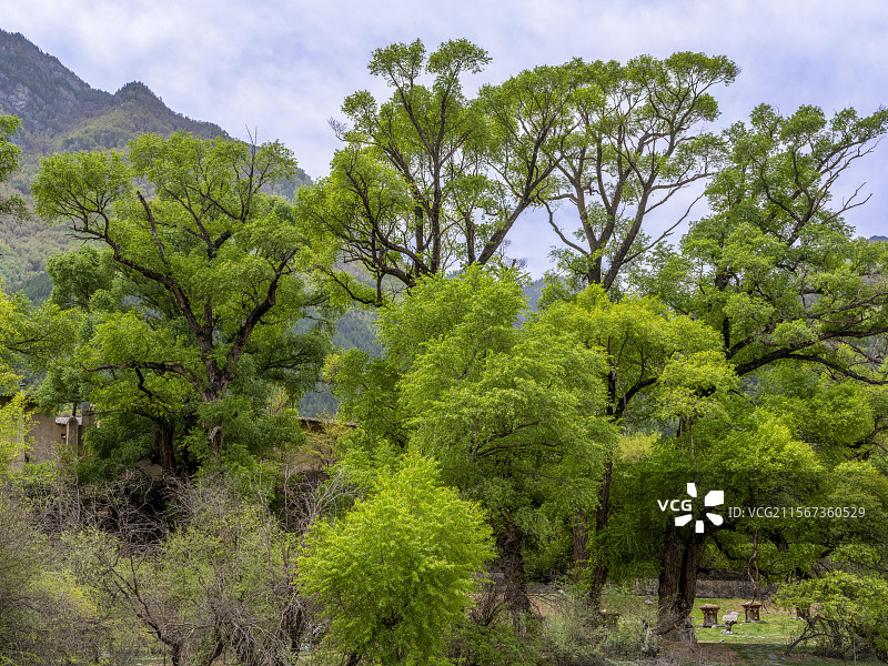 甘肃省甘南藏族自治州部白云景区图片素材