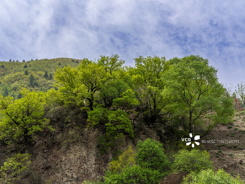 甘肃省甘南藏族自治州部白云景区图片素材
