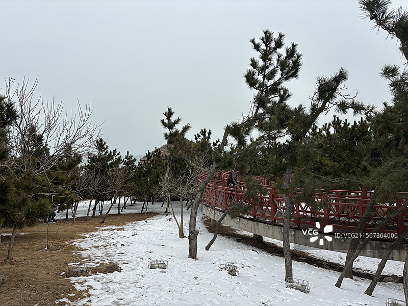 山东烟台养马岛冬季雪景海边黄海明珠网红打卡旅游胜地图片素材