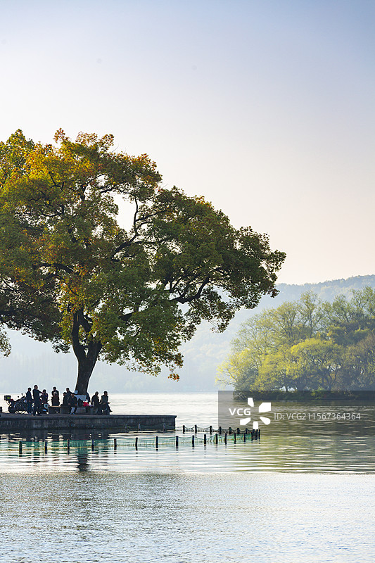 西湖风光图片素材