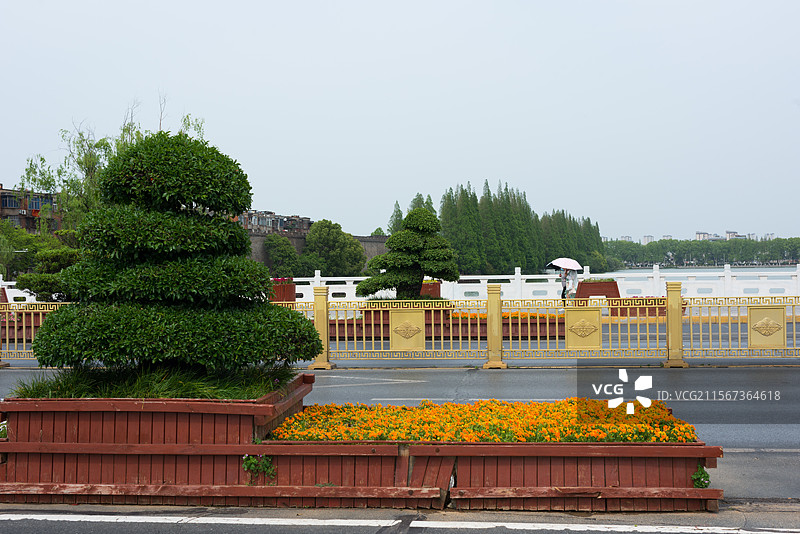 襄阳城市河边的绿化景观图片素材