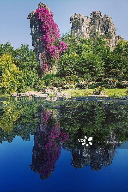 初夏的骆驼山风景（桂林七星景区）图片素材
