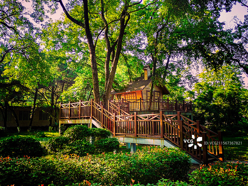 晨光中林间小木屋（桂林七星景区）图片素材