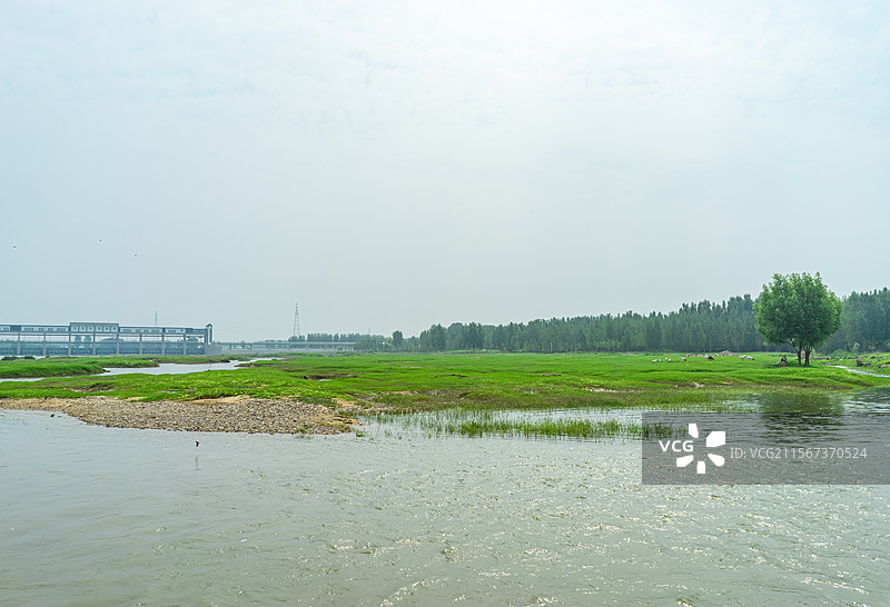 中国山东泰安岱岳区大汶口镇山西街村文化遗址风景区，雨季汛期奔腾汹涌河流，户外白昼无人图像摄影图片素材
