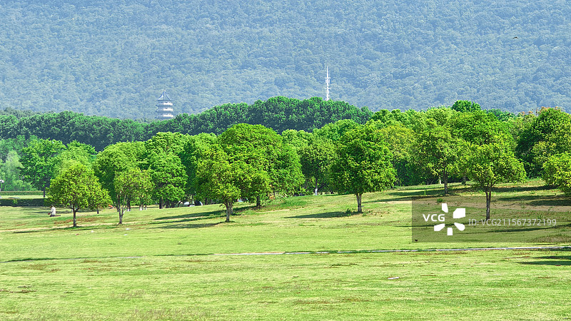 南京钟山体育公园图片素材