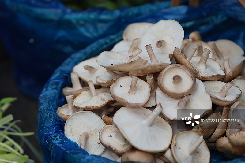 上海菜市场西瓜枇杷蔬菜小龙虾特写图片素材
