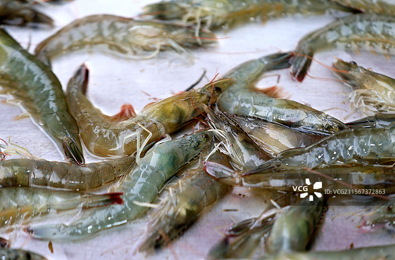 上海菜市场西瓜枇杷蔬菜小龙虾特写图片素材