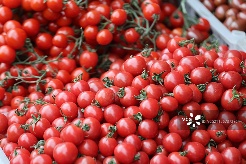 上海菜市场西瓜枇杷蔬菜小龙虾特写图片素材
