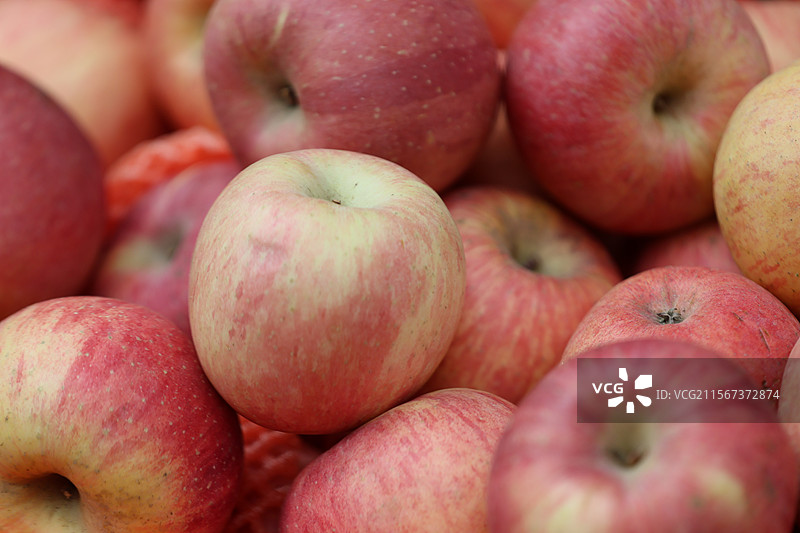 上海菜市场西瓜枇杷蔬菜小龙虾特写图片素材