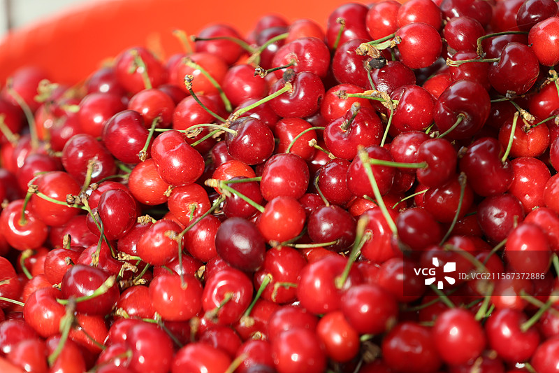 上海菜市场西瓜枇杷蔬菜小龙虾特写图片素材