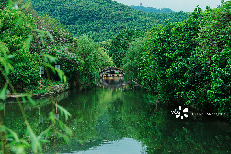 绍兴，大禹陵景区，蔷薇，江南水乡图片素材