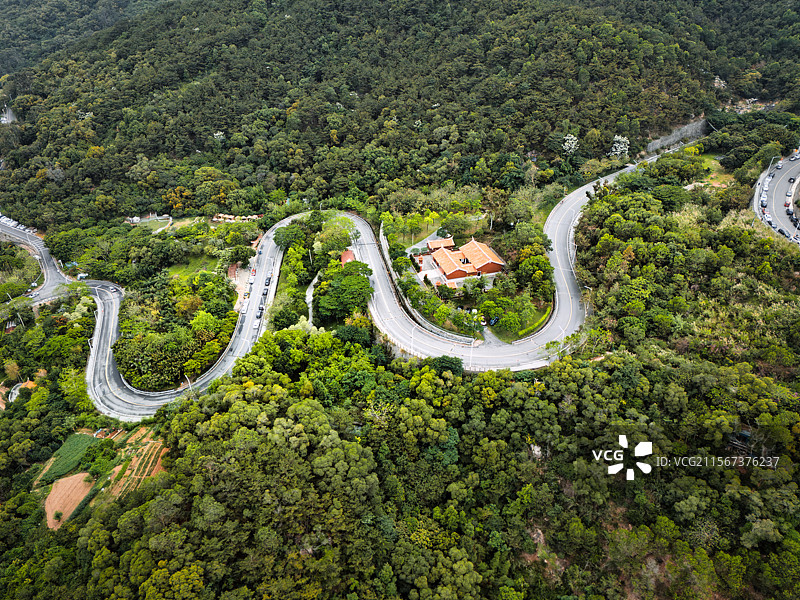 蜿蜒山路与森林图片素材