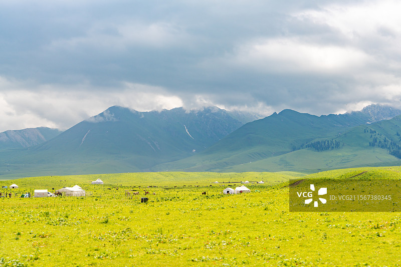 新疆那拉提草原夏季风景图片素材